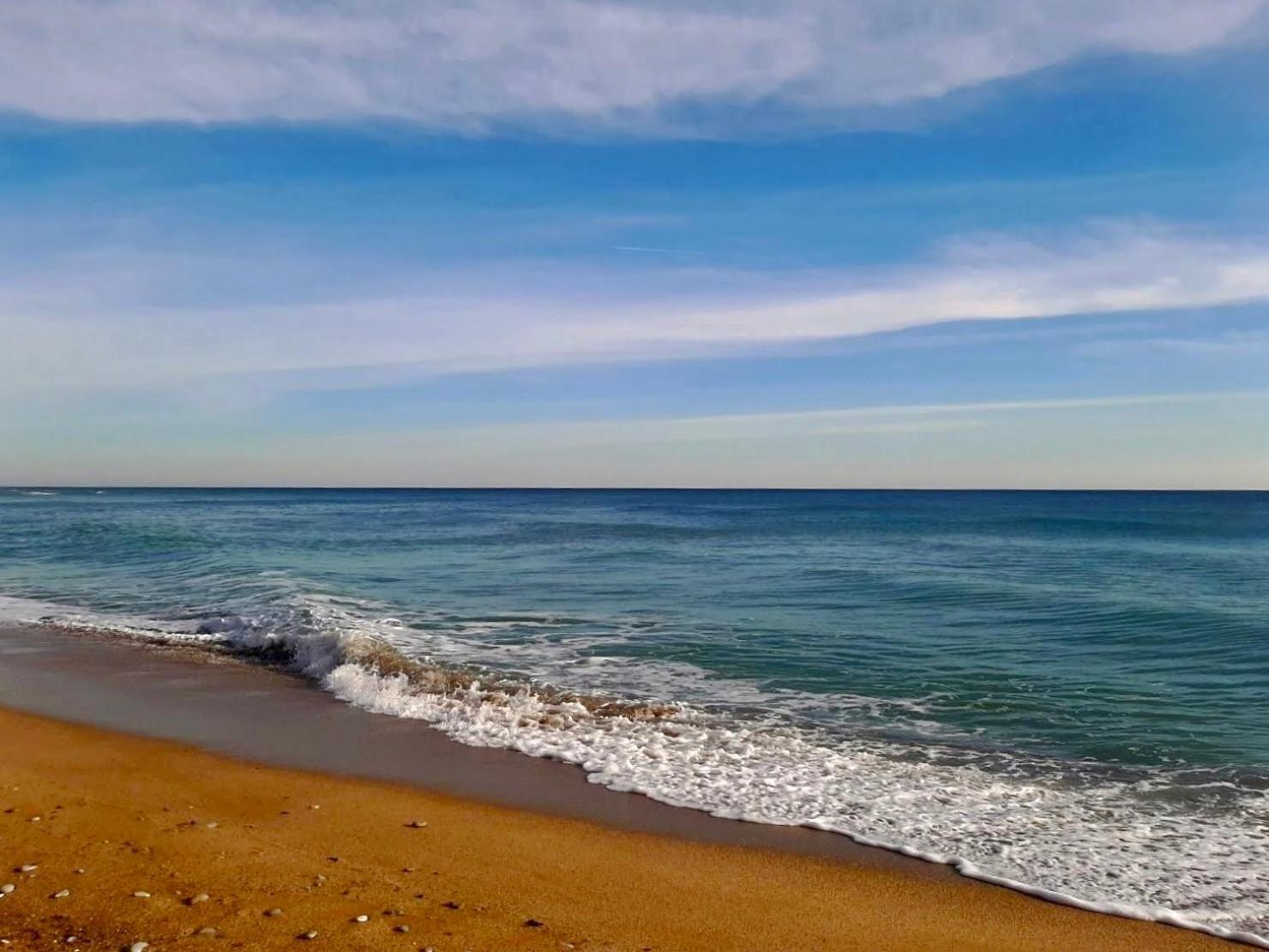 Byala Vista Beach Apartments D - Бяла Виста Бийч Апартментс Д Dış mekan fotoğraf